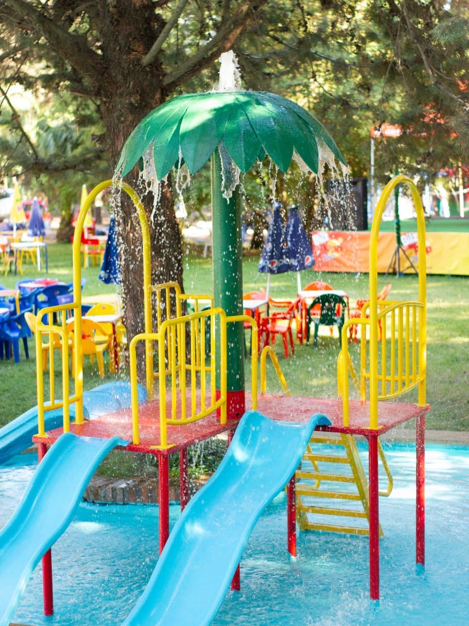 Galería de paseos de curso 1