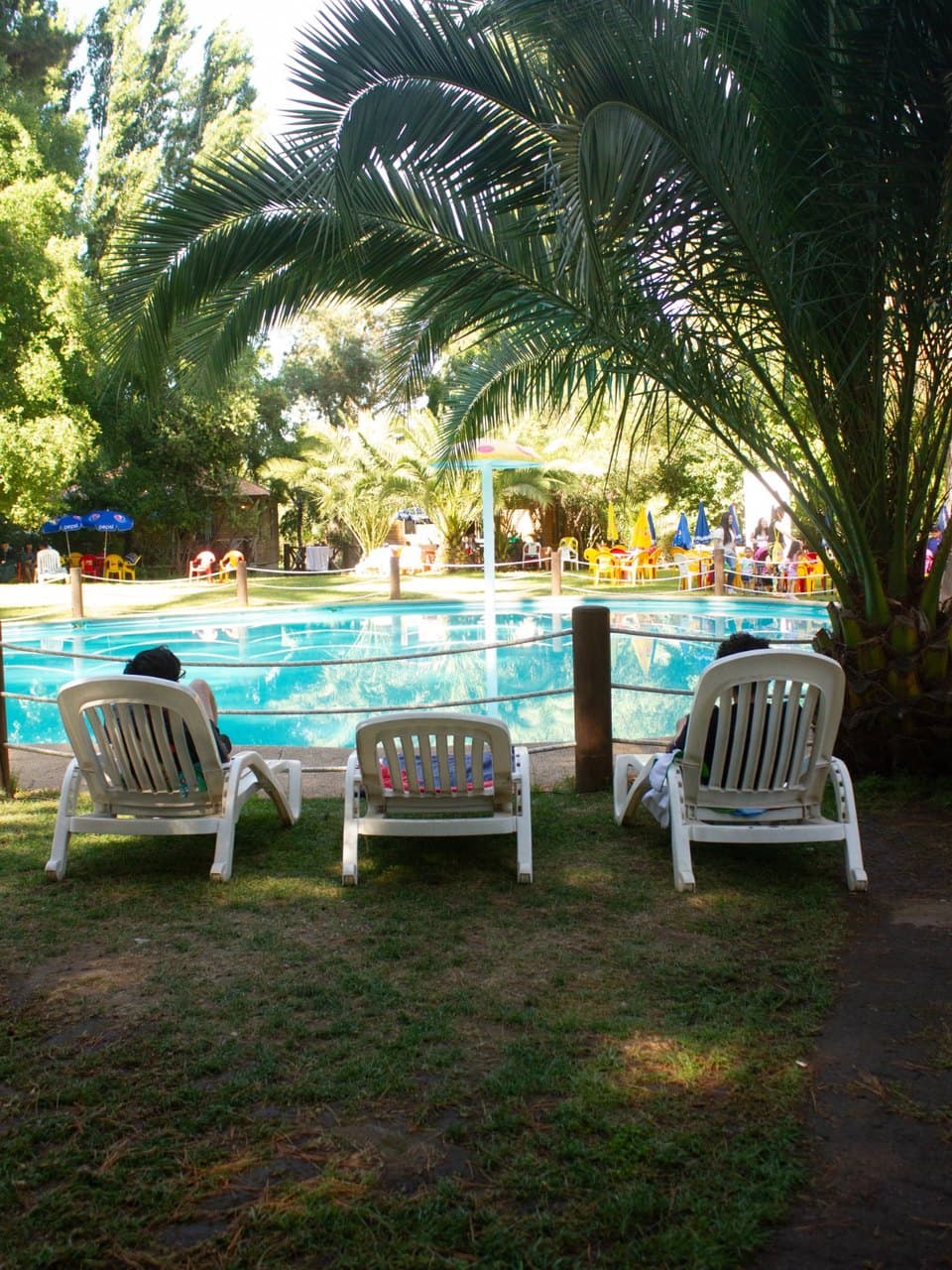Galería de paseos de curso 2