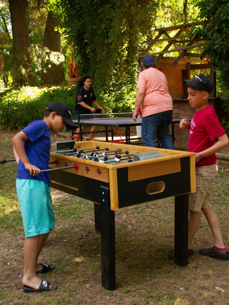 Galería de paseos de curso 3